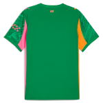 Manchester City manchester city goalkeeper jersey green 202526 with custom printing Shirts - Official Store